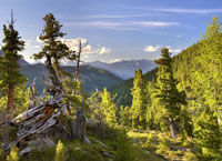 на фото Саяны (Саянские горы)