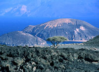 на фото Республика Джибути